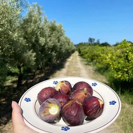 Ludomar Country - & Aparthotel