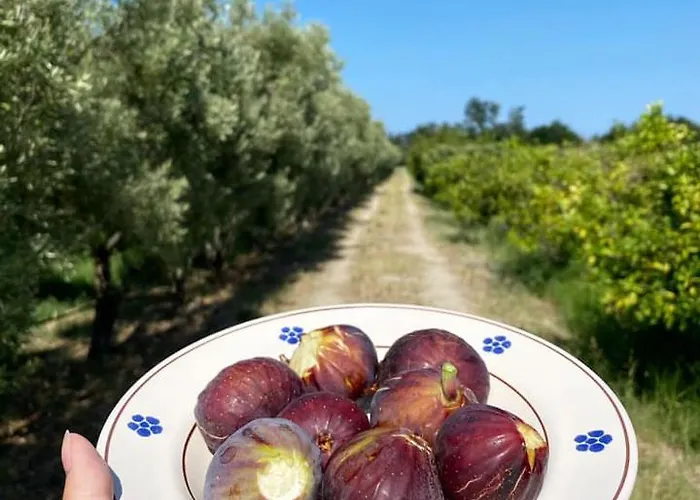 Ludomar Country - & 公寓式酒店