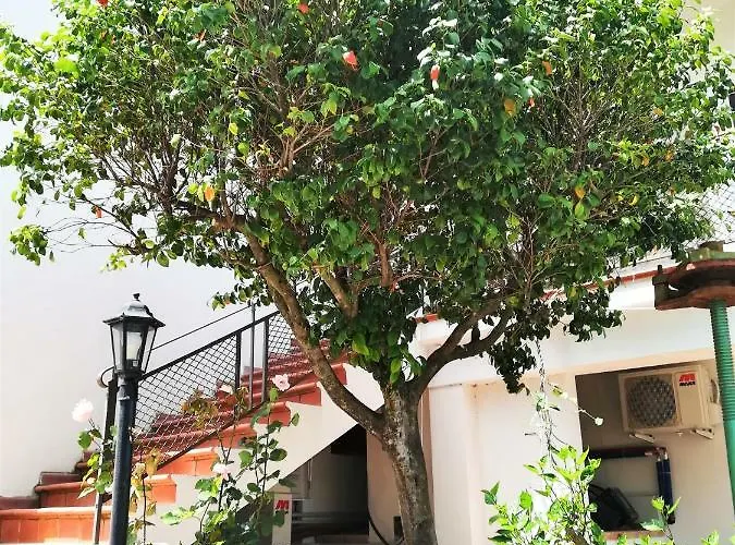 公寓式酒店 Ludomar Country - & 圣安德雷亚阿波斯托洛德洛约尼奥